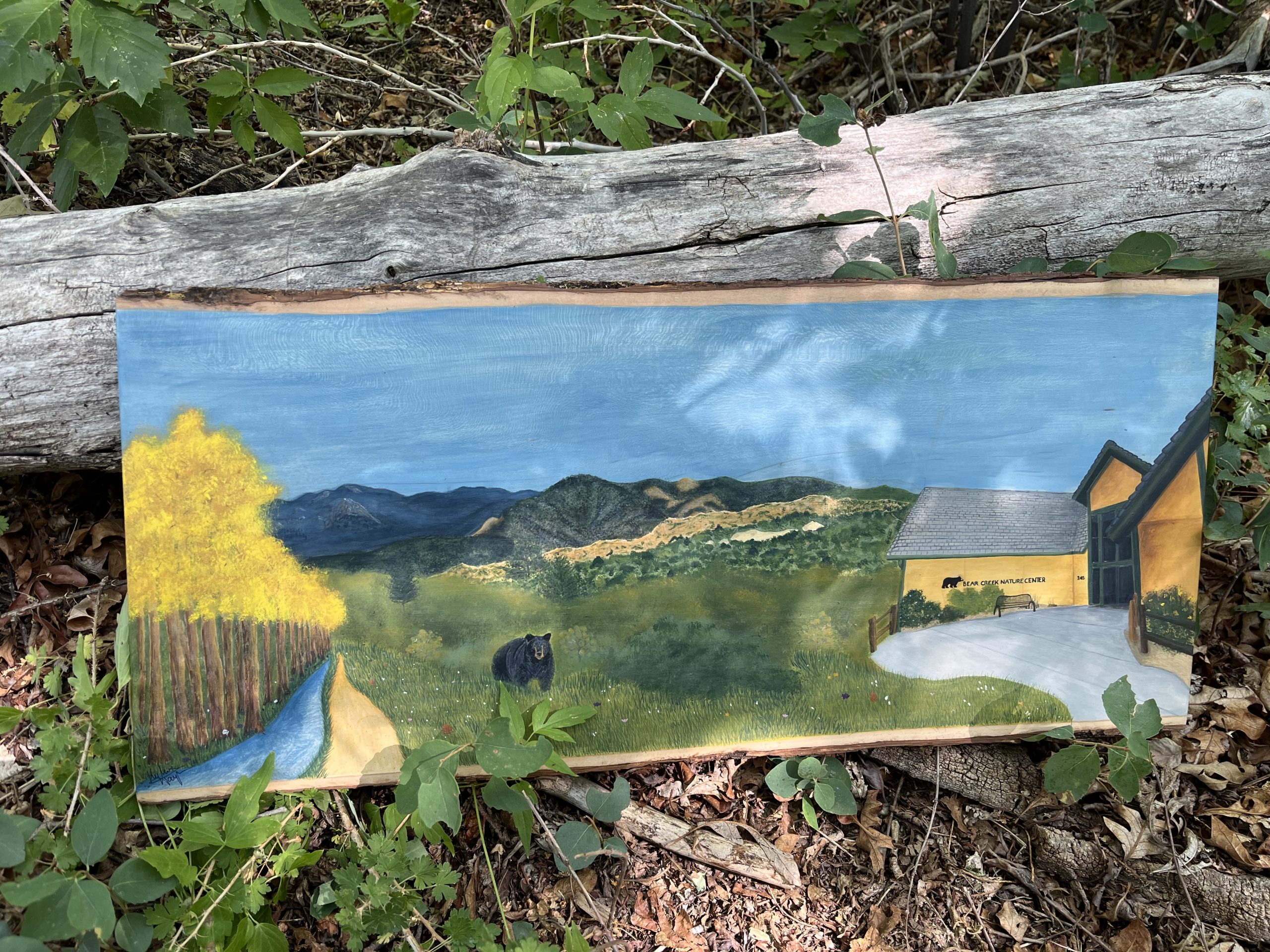 Bear Creek Nature center depicted through a painting on a wooden slab