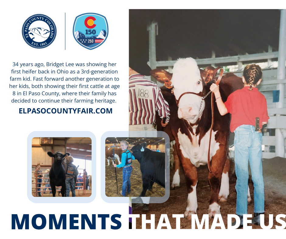 graphic with the county logo and colorado 150 and usa 250 logo lockup with a photo on the right shows a young girl showing a cow and two inset photos of two other young kids also showing cows. On the left is text explaining the photo.