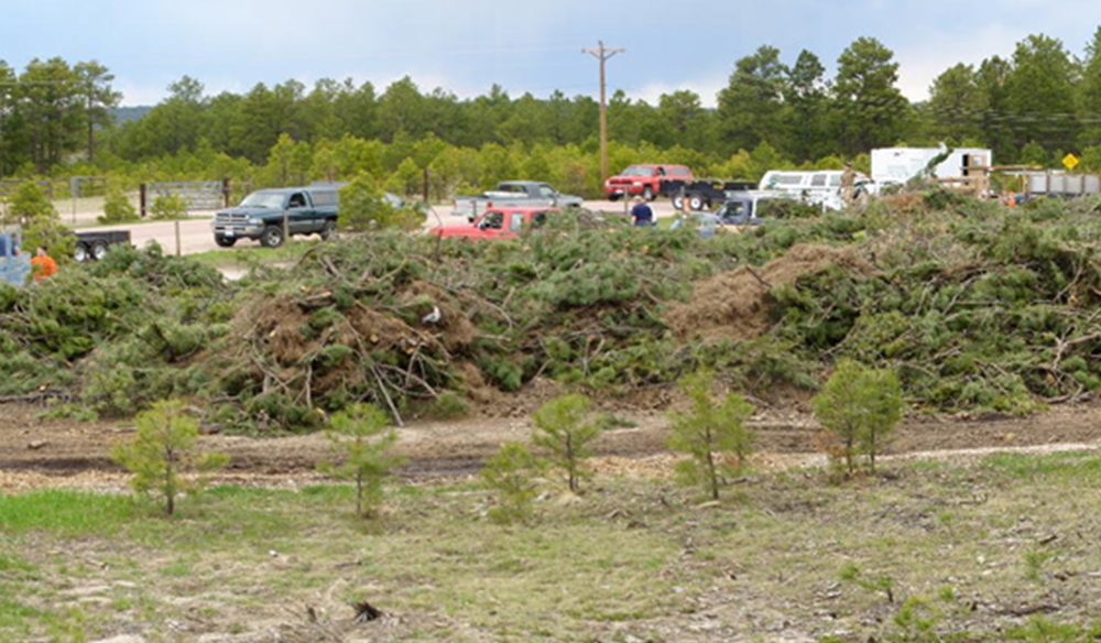 Black Forest Slash Mulch Program Update El Paso County Colorado