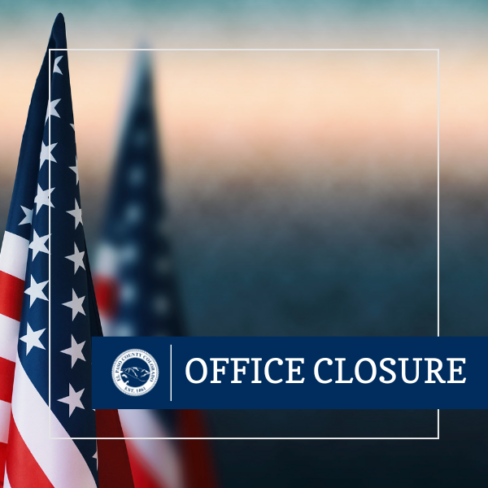 square photo of American flags in a somber filter.