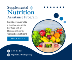 SNAP Graphic Graphic image with photo of fruits and vegitables in a paper bag on the right with text on the left reading Supplemental Nutrition Asistance Program Providing households a montly amount to buy food with an Electronic Benefits Transaction card apply today