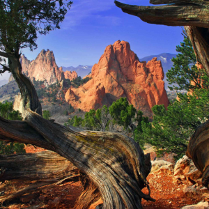 Garden of the Gods viewed through Crooked Tree