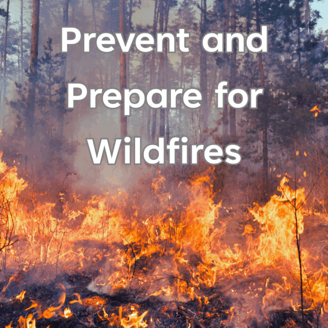 Wildfire photo Picture of Wildfires, text reads prevent and prepare for wildfires