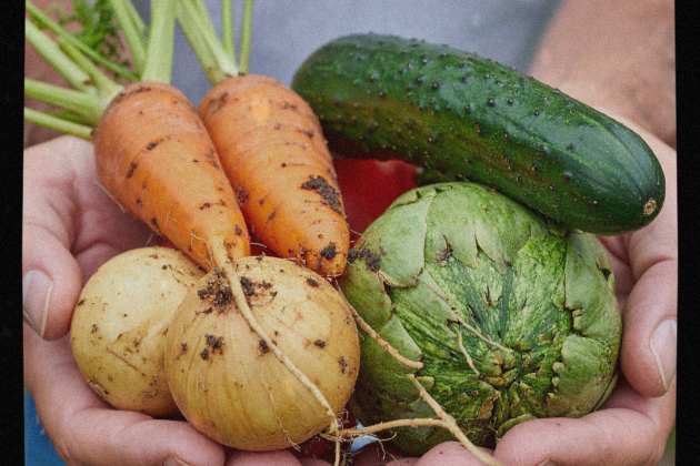 Gardening for health