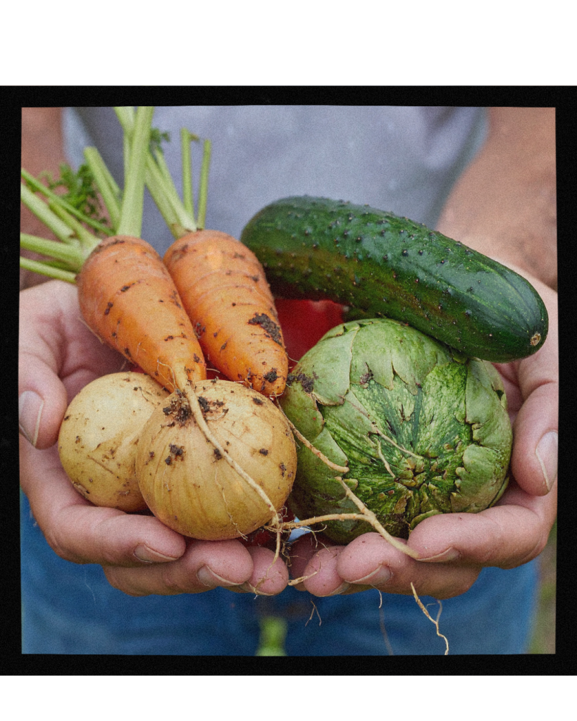 Two hands holding fresh vegetables