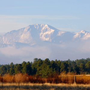 Pikes Peak mountain in the background with brown reeds and pine trees in the foreground