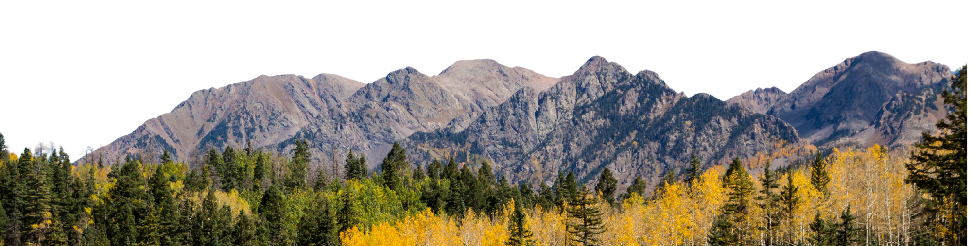 Divider_Rocky Mountain Peaks Rocky Mountain Peaks with pine and aspen trees in the fall