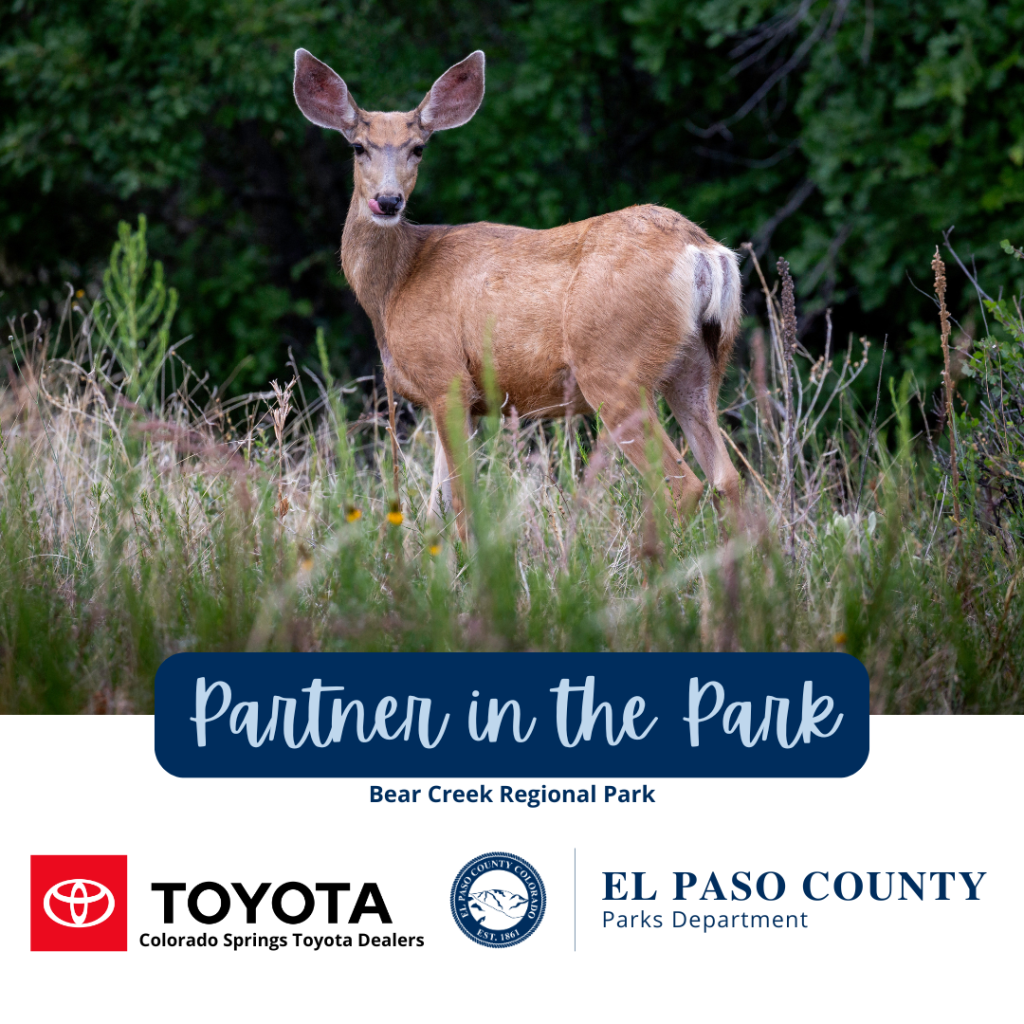 Bear Creek Regional Toyota Partner in the Park Frame