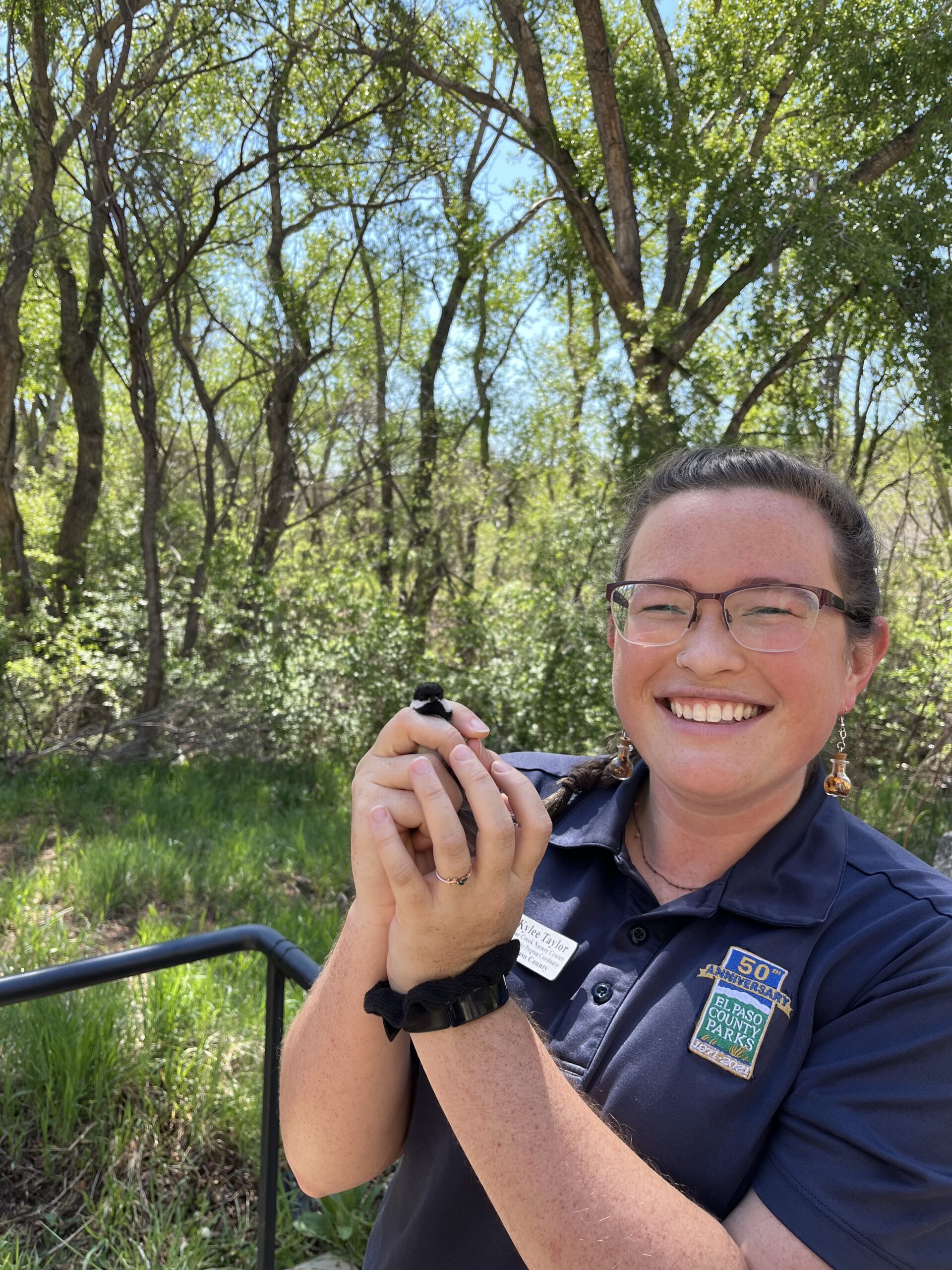 Bird Banding 1