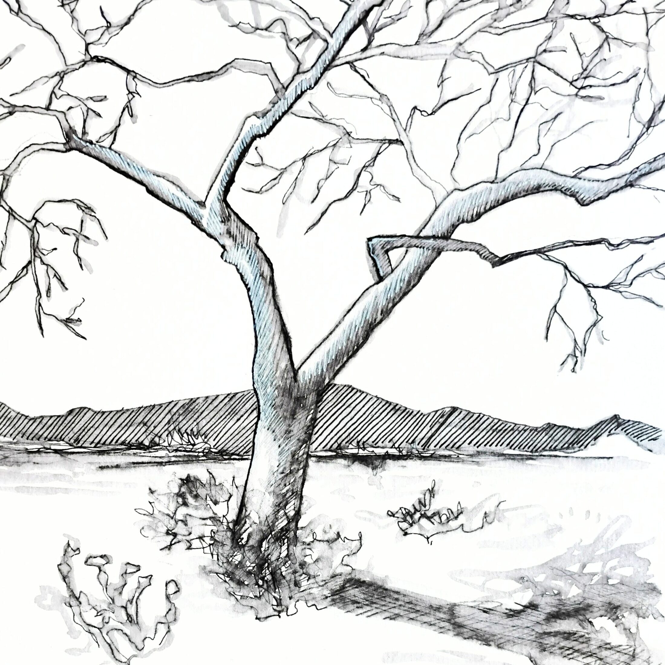 FCNC Saraiya Ink Trees A black and white sketch of a tree with bare branches in front of a mountain range.