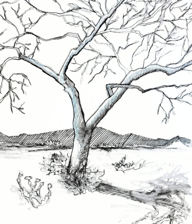 A black and white sketch of a tree with bare branches in front of a mountain range.