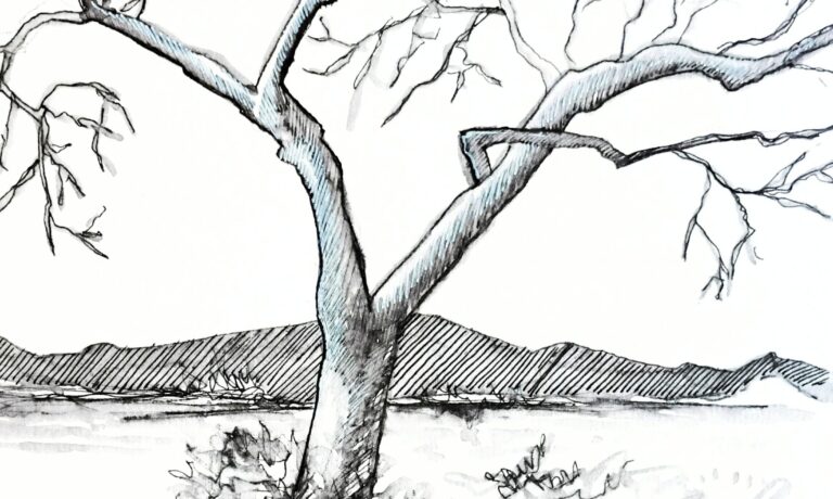 FCNC Saraiya Ink Trees A black and white sketch of a tree with bare branches in front of a mountain range.