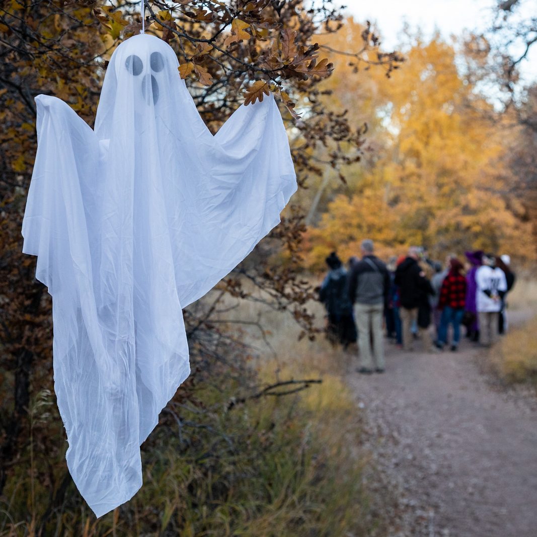 Ghost in the foreground while groups travels the spooky trail Ghost-in-the-foreground-while-groups-travels-the-spooky-trail.jpg
