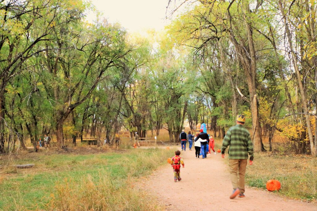 Jack-o-Lantern Trail Families walk through the forest on a fall evening along a trail lined with lit jack-o-lanterns.