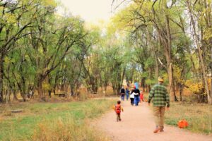 Families walk through the forest on a fall evening along a trail lined with lit jack-o-lanterns.