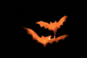 A glowing jack-o-lantern is designed with two bat carvings.