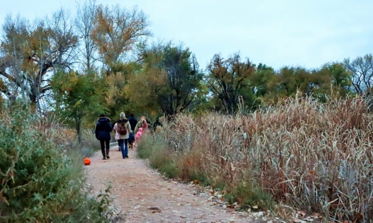 Jack-o-Lantern Trail 2023 (142) Families walk along the Nature Trail on a fall evening. The trail is lined with lit jack-o-lanterns.