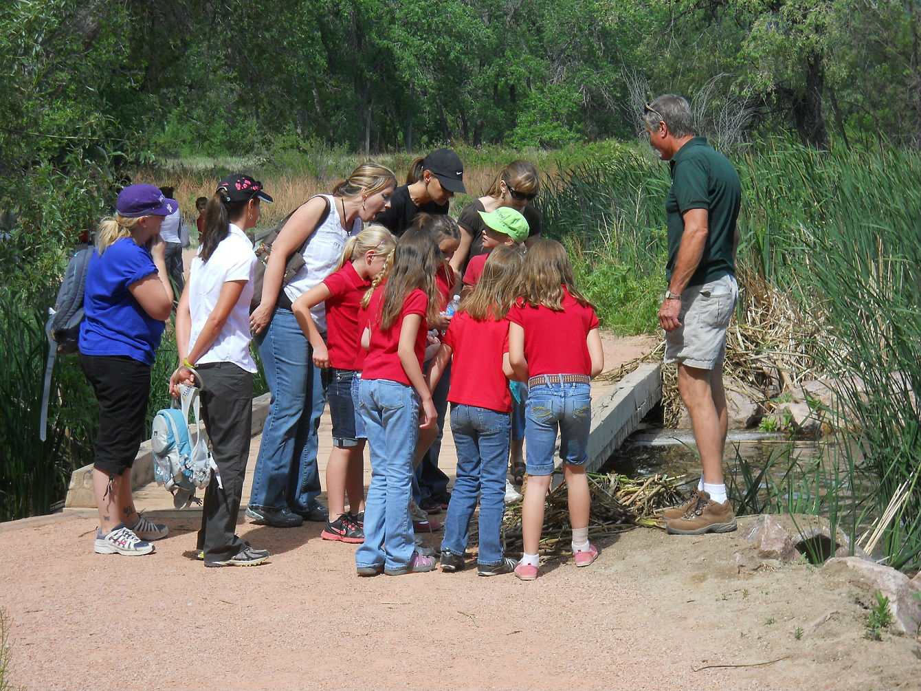Students on a field trip examine a nature find by a bridge