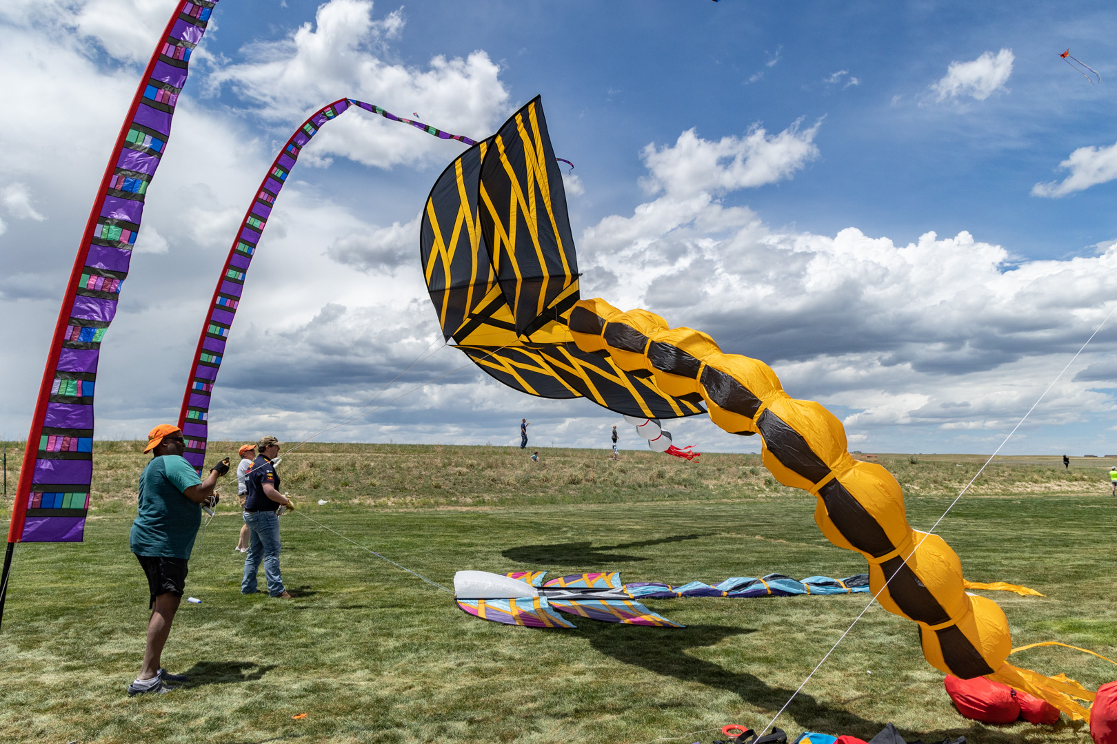 Black and Yellow Kite with long tail