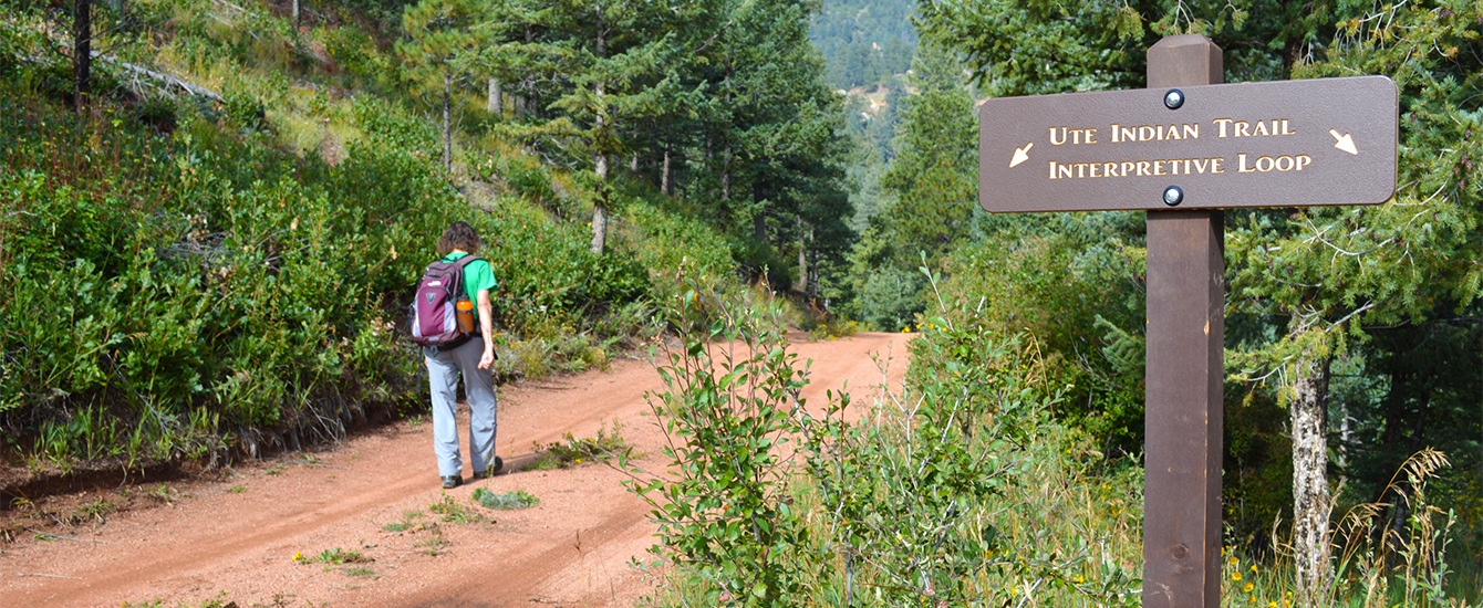 Ute Pass Reg Trail loop section w hiker 72