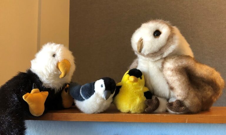 Puppet Theater Puppets (from left to right) of a bald eagle, chickadee, goldfinch and barn owl rest at the top of a puppet stage
