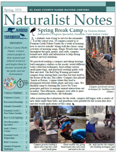 The font cover of the Spring 2026 Naturalist Notes Newsletter is a sneak peak to what's inside.