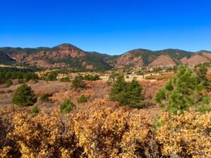 View of Santa Fe Open Space