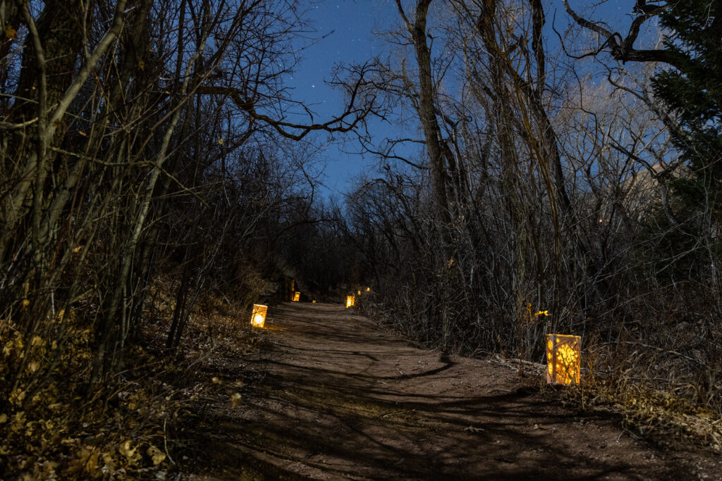 Luminaries line a trail among bare tree branches under a darkening sky.