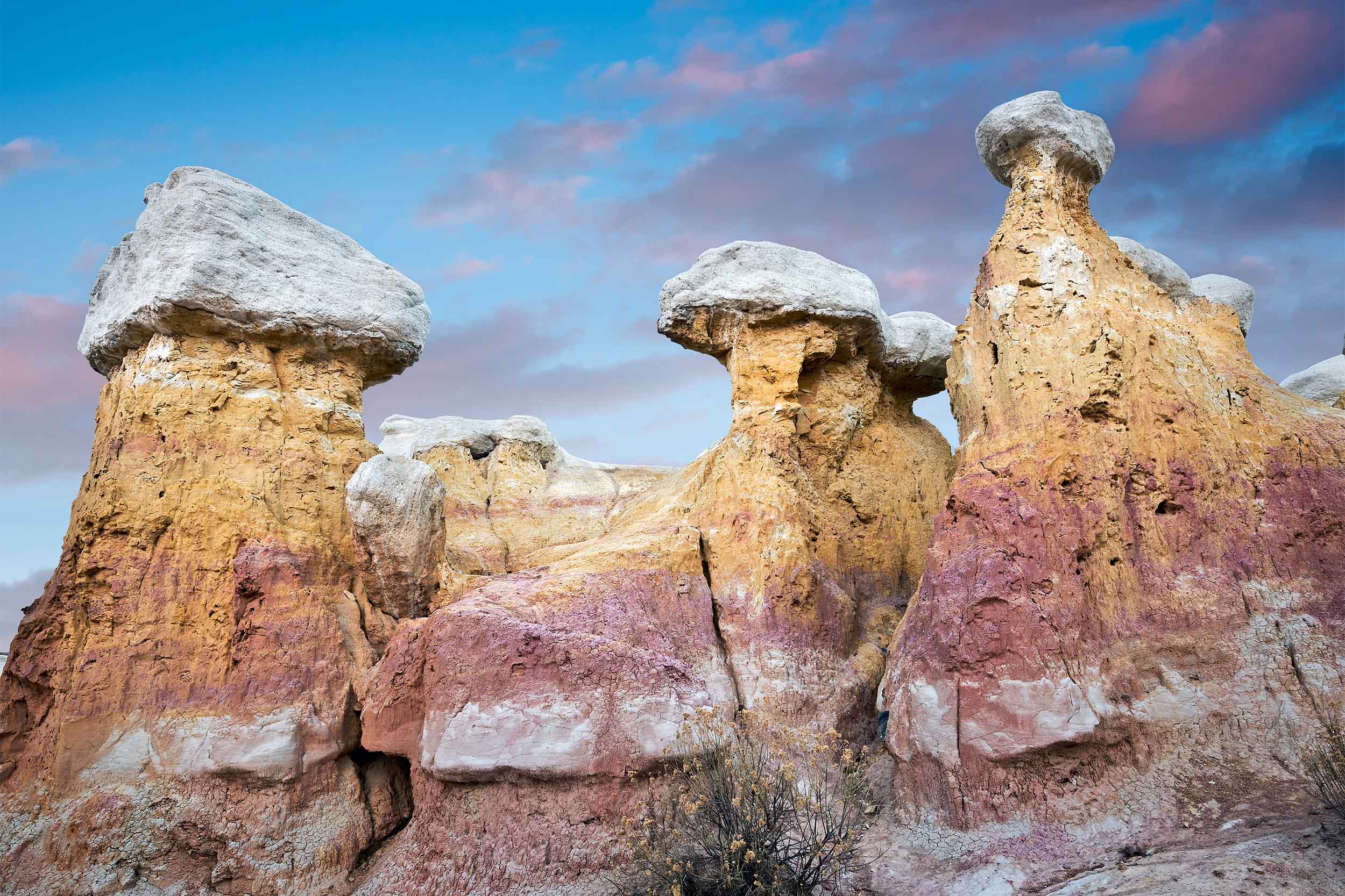 County Clerk and Recorder El Paso County Clerk and Recorder